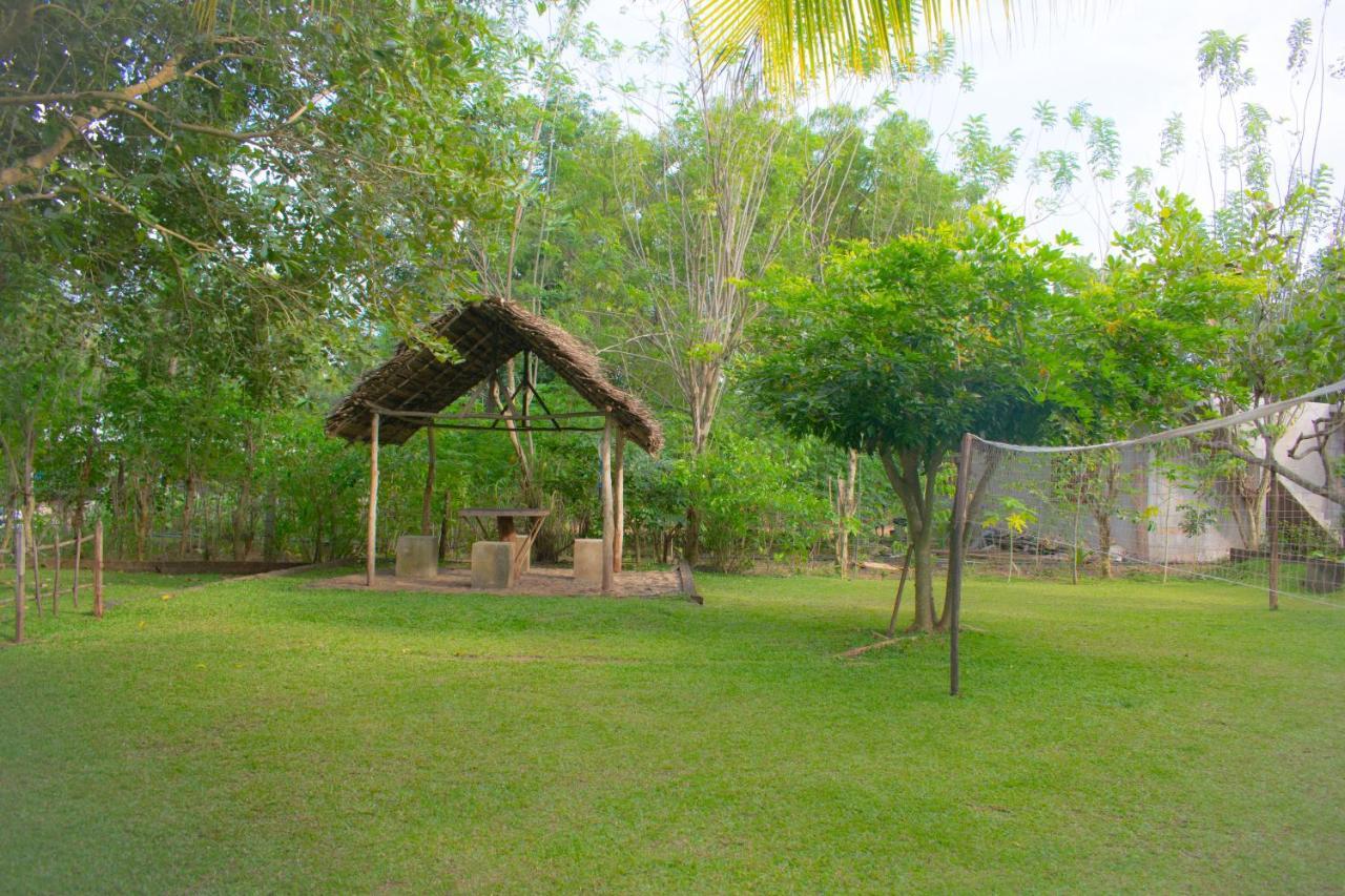 Green Cottage Anuradhapura Exterior foto