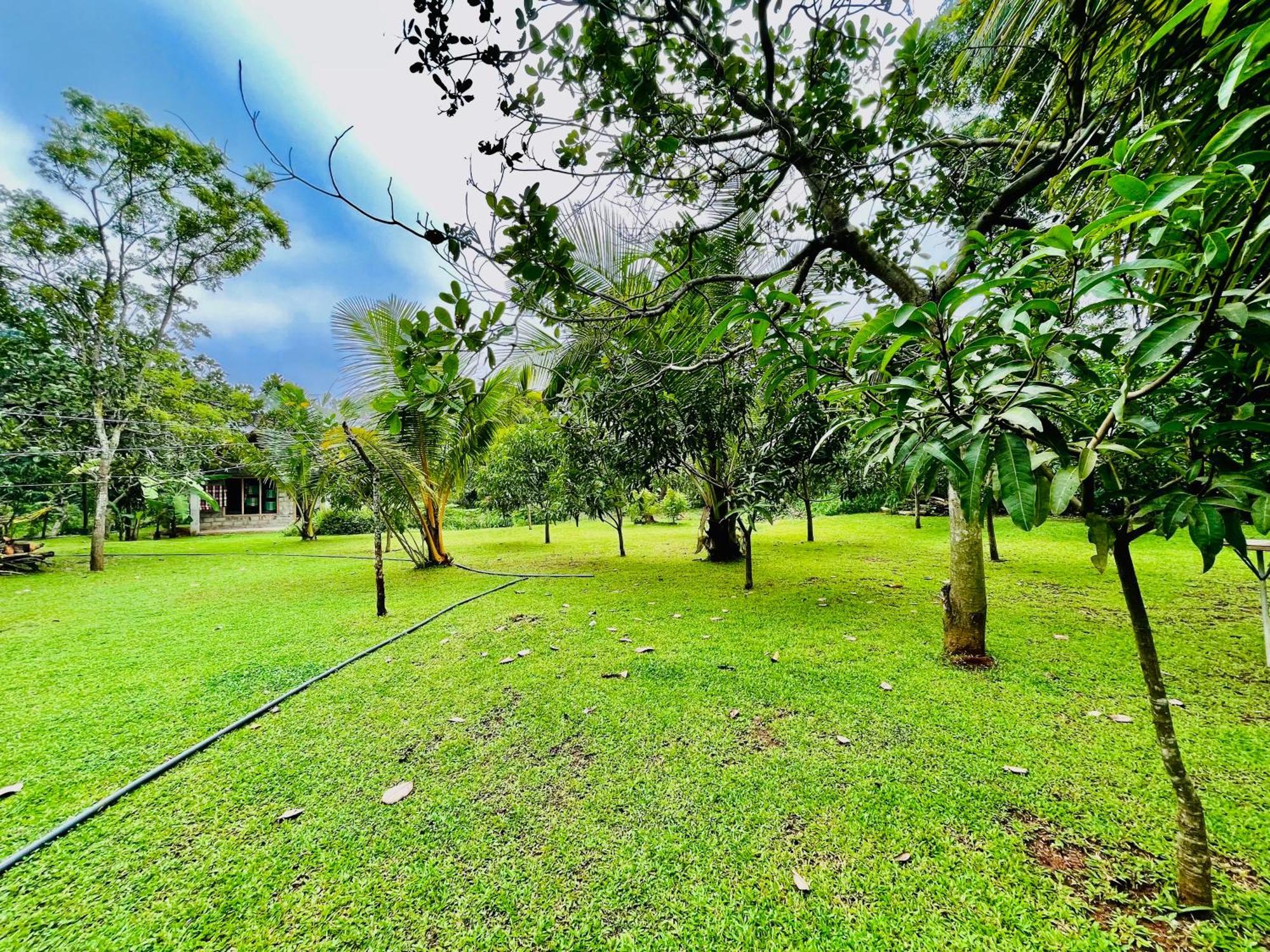 Green Cottage Anuradhapura Exterior foto